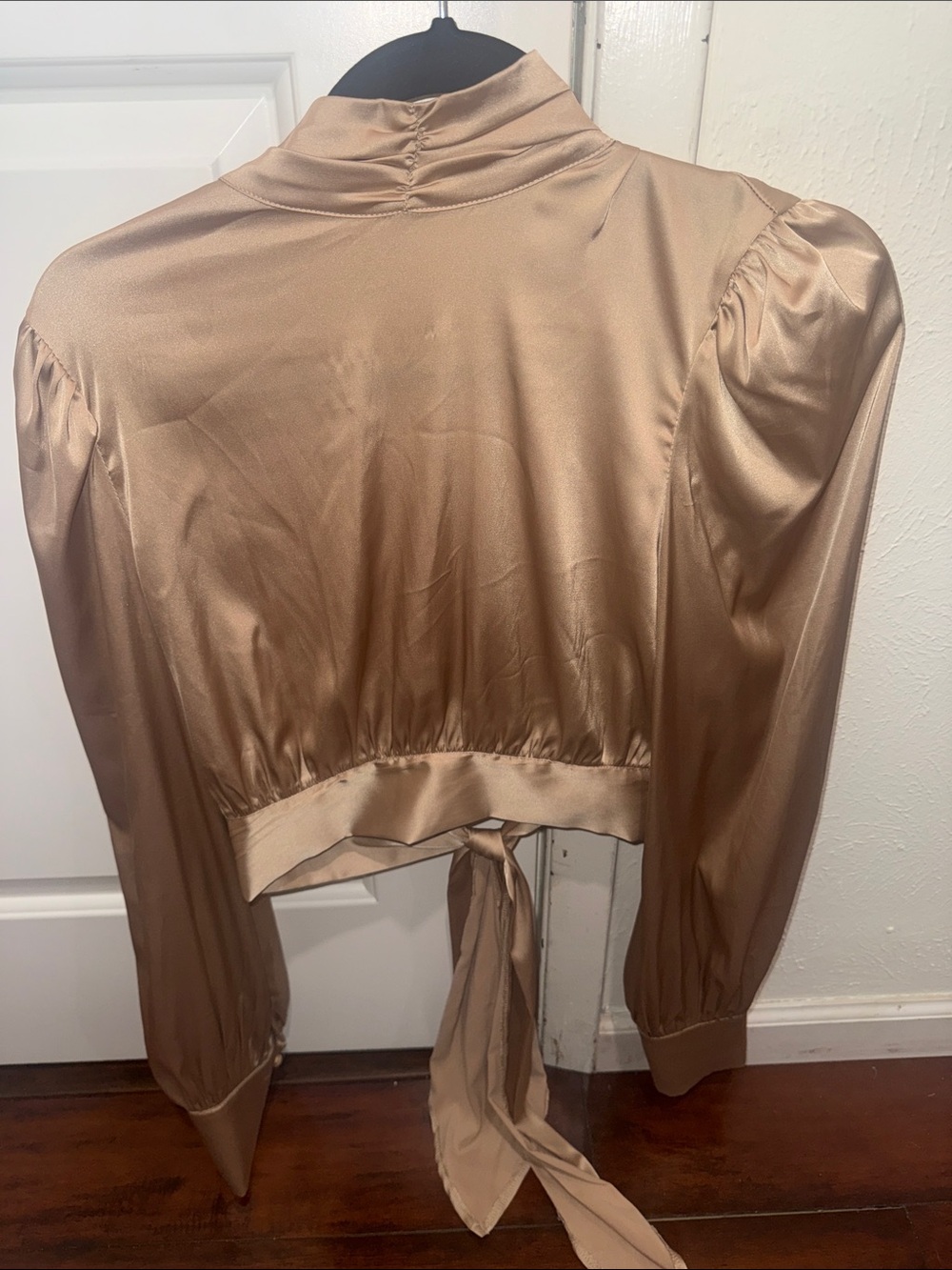 Cropped Satin Tie-Back Blouse in Light Brown